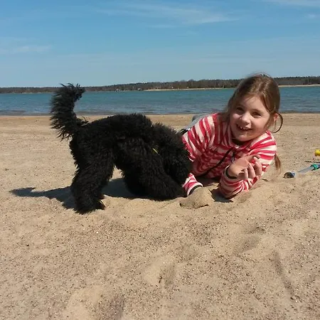 Groena Uddens Μάριεχαμν